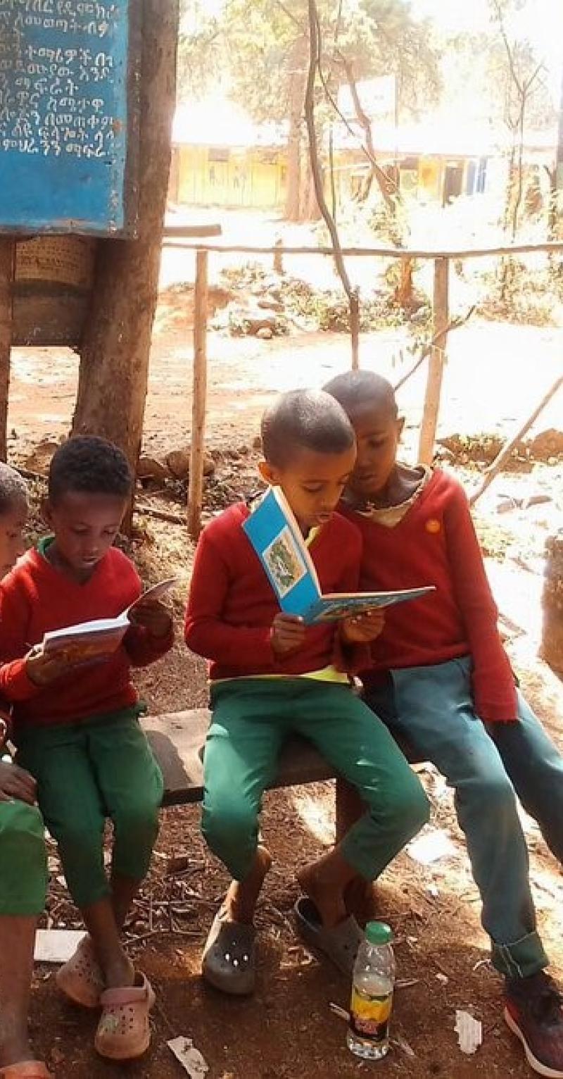 A group of young boys sits on a bench outside reading books