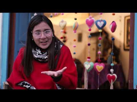 Preview image for the video "Nicole Ames & Students Build a Biodigestor to Tackle Real-World Challenges in Peru". Preview image for the video "Nicole Ames & Students Build a Biodigestor to Tackle Real-World Challenges in Peru".
